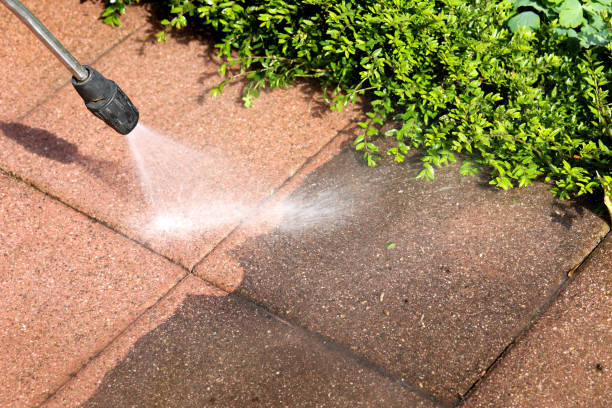 Best Roof Pressure Washing  in Arnold, PA